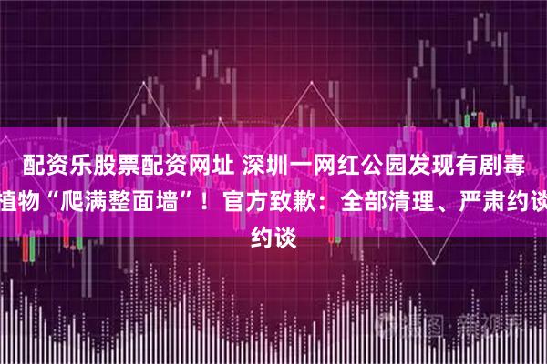 配资乐股票配资网址 深圳一网红公园发现有剧毒植物“爬满整面墙”！官方致歉：全部清理、严肃约谈